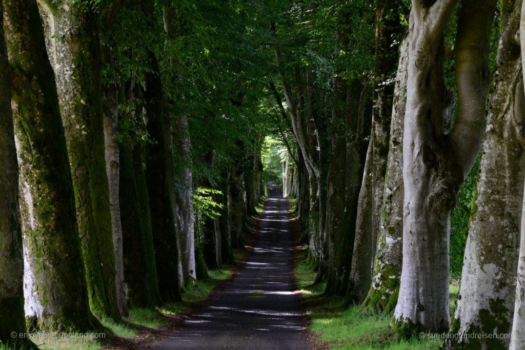 Die lange Allee zu Drummond Castle Gardens